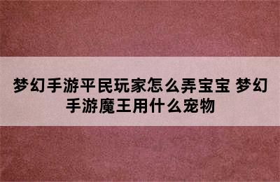 梦幻手游平民玩家怎么弄宝宝 梦幻手游魔王用什么宠物